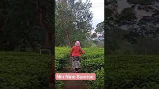 trek 11 sukawana#hiking #4#