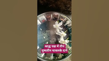 श्राद्ध पक्ष में 3 पुष्पतीन चावल के दाने #upay