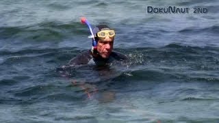 Skurriler Typ taucht nach Muscheln an der Atlantikküste (Etreta, France))
