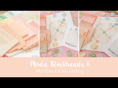 Blockheads 6 | My Plans + Free Setting