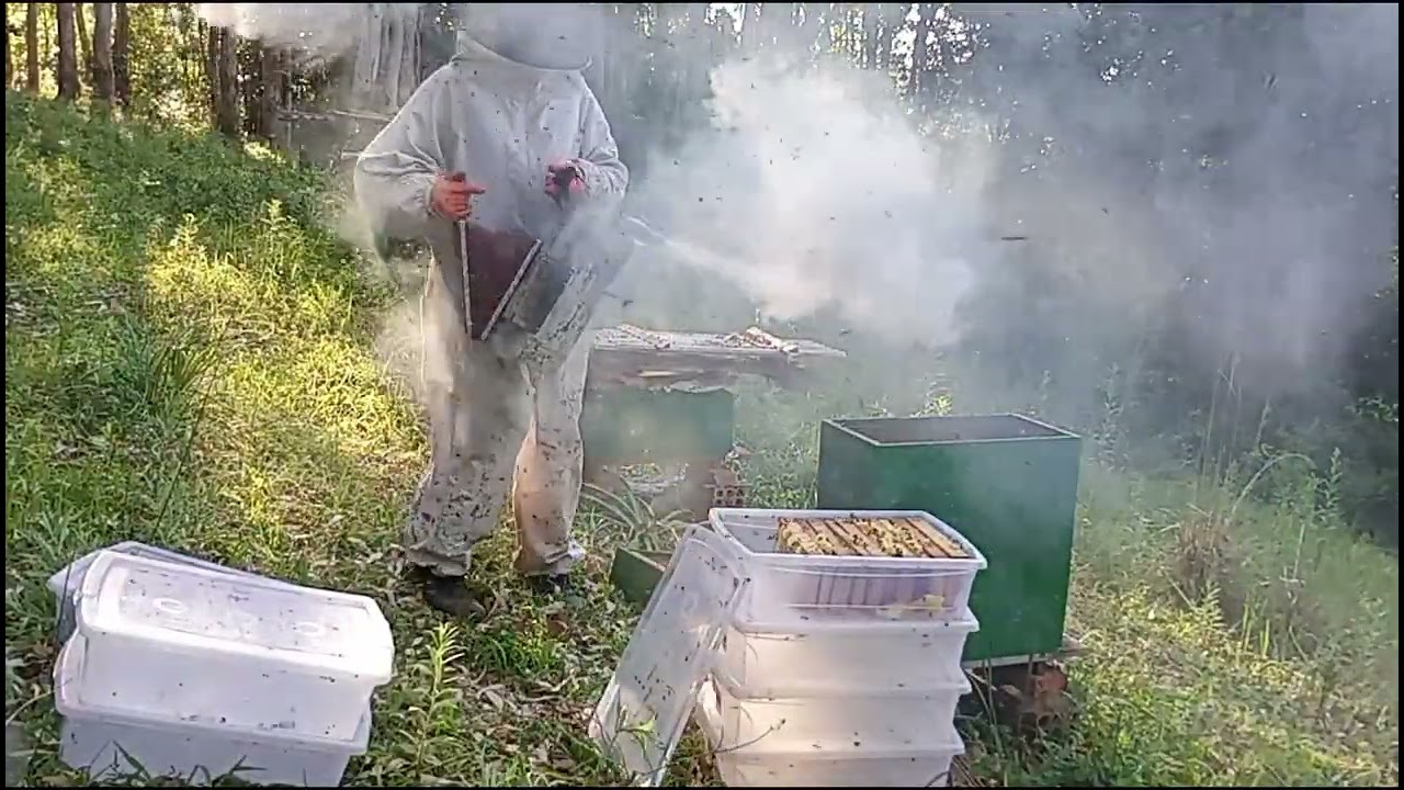 13 de dezembro de 2025