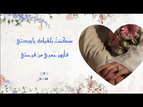 سكنت بلقياك بدون إيقاع أحمد درويش 