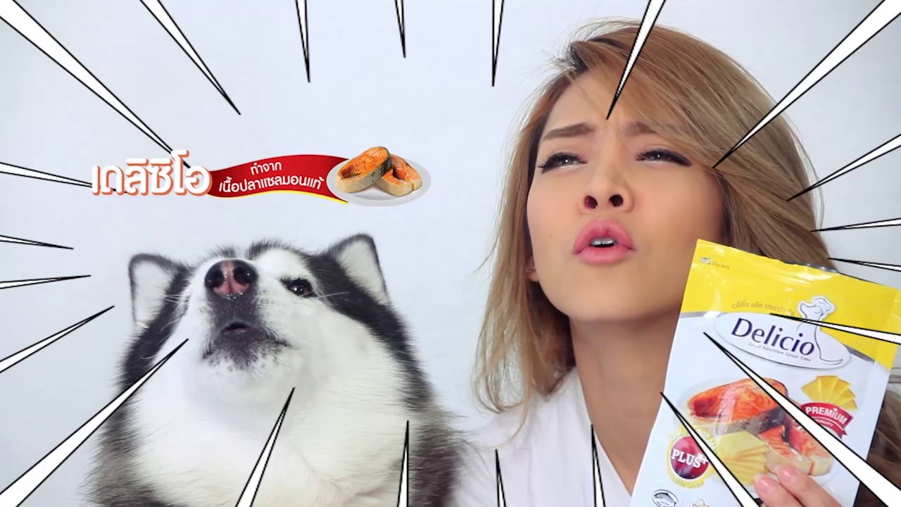 รายการ The Animal Lulla ช่อง one HD ES.98