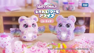 うまれて!ウーモアライブ ニャートゥリーのたまごをお世話したら…!?