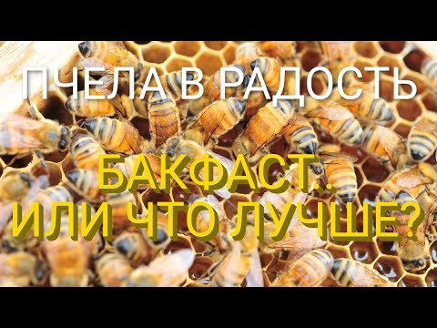 ВСЁ О 