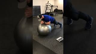 Stability Ball Plank Roll Out