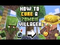 How to Cure a Zombie Villager in Minecraft (Step-by-Step Guide)