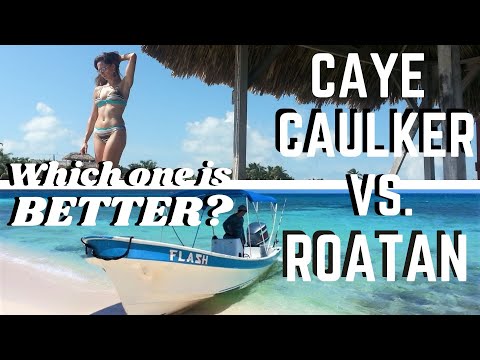Video: Pojdite Počasi Na Caye Caulker, Belize - Matador Network