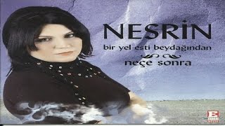 Nesrin - Sevdim Seni Malatyalı Resimi