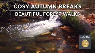 2 Autumn Youtube Bumper Ad 6sec