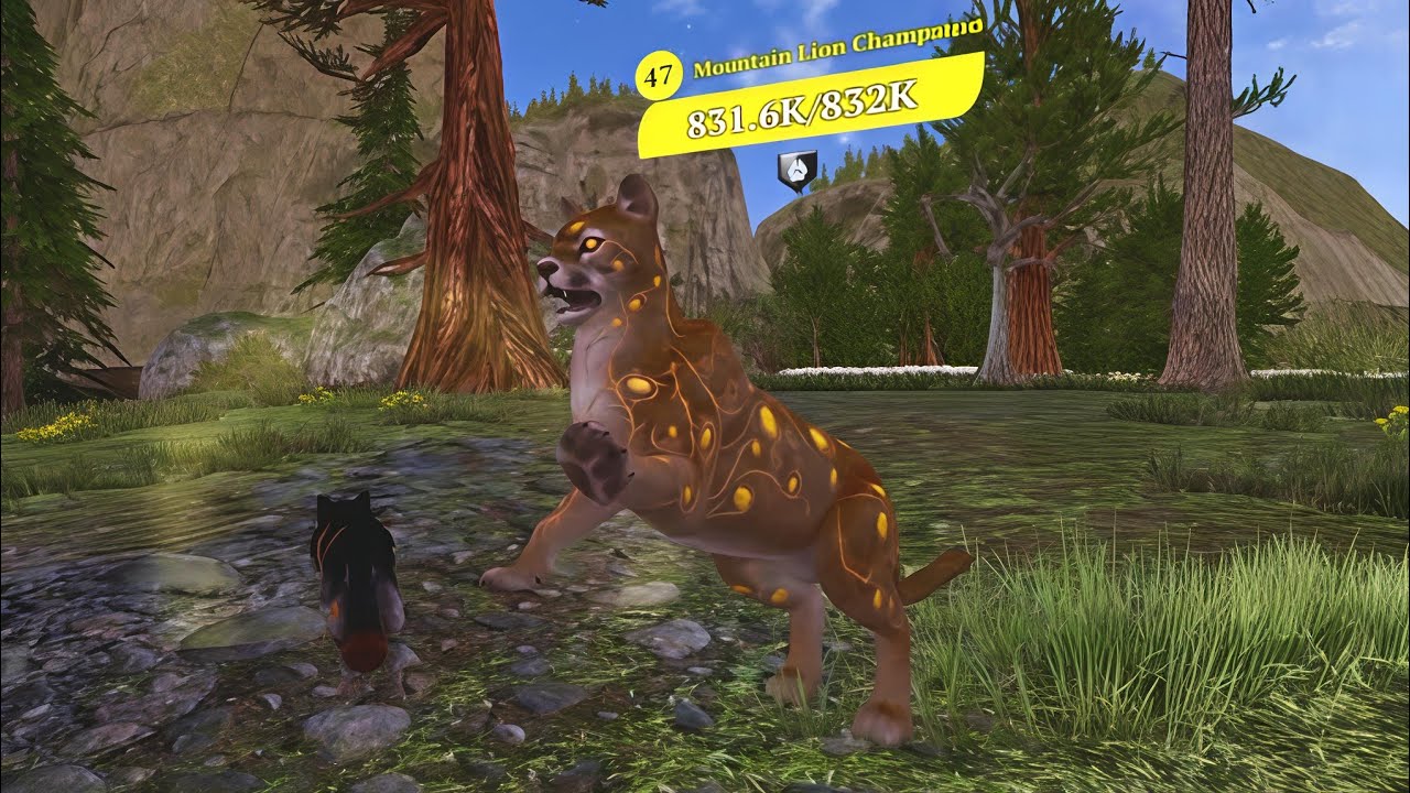 The Wolf - Mountain Lion Champion 🏆