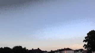 Maiden flight Alien 560 FPV