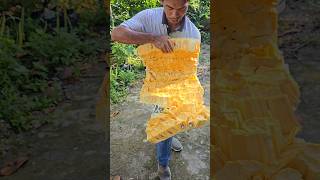Sieusom Isi Rapet jackfruit fruit nangka