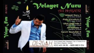 Ali Nayer - Velayet Nuru Resimi