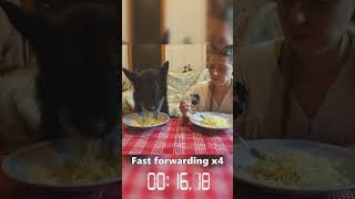 Spaghetti Eating Competition: Girlfriend vs my Dog