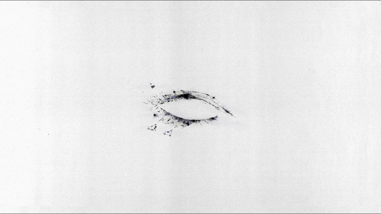 Crunkz - Eyes Off You (Official Lyric Video)