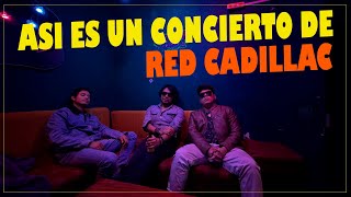 Así se vive realmente un show de Red Cadillac