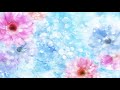 【Hatsune Miku V4X ENG】Reply to Gerbera 【Vocaloid カバー】