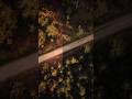 DJI MINI 4K Color Grading #dronevideo #colorgrading #cinematicvideo