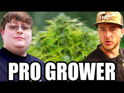 How Growers Create New We*d Strains