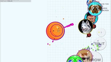 SOLO VS ALL (BLOB.IO)