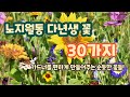 2023년 정원에 심을 만한 관리가 쉬운 노지월동 다년생 꽃 30가지 모음 Mp3 Song