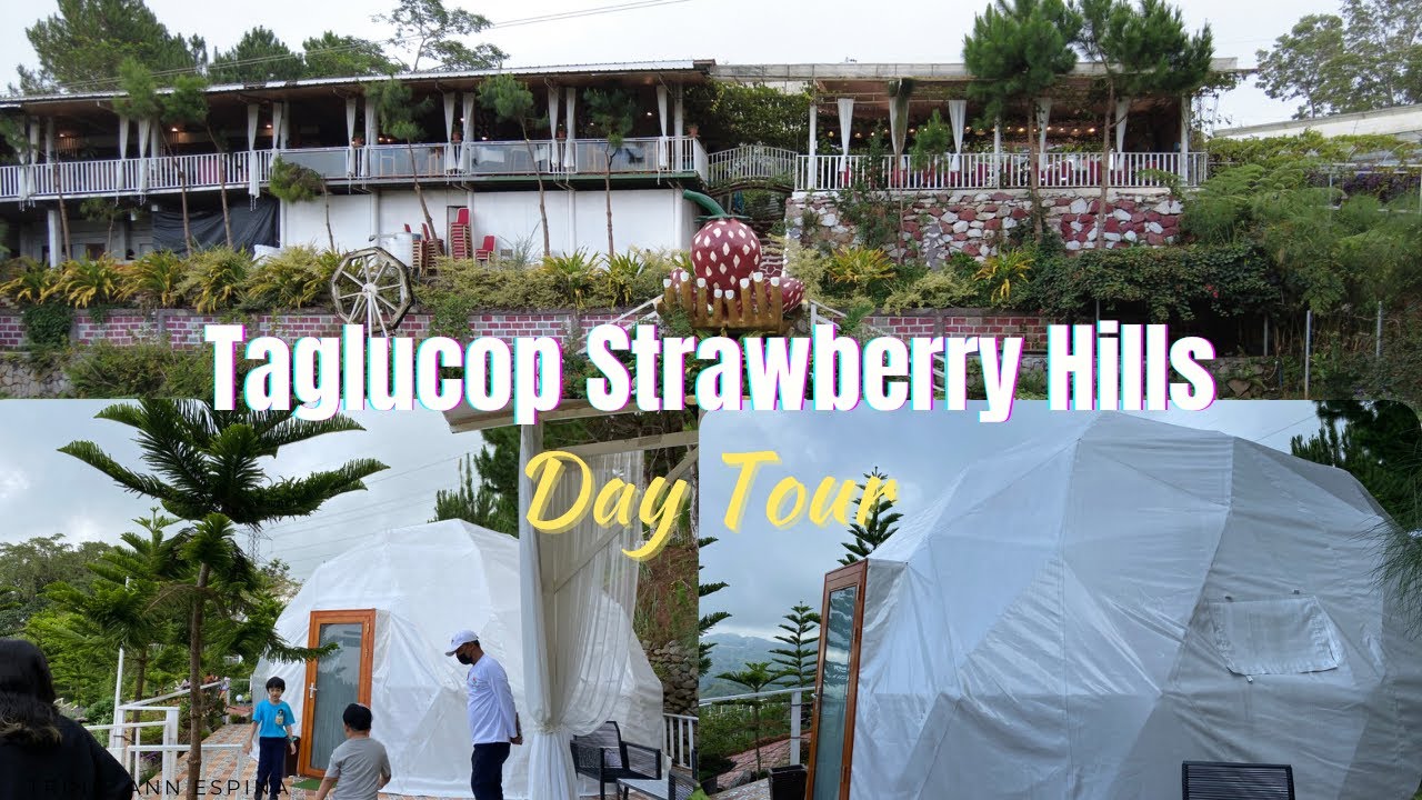 Day Tour at Taglucop Strawberry Hills
