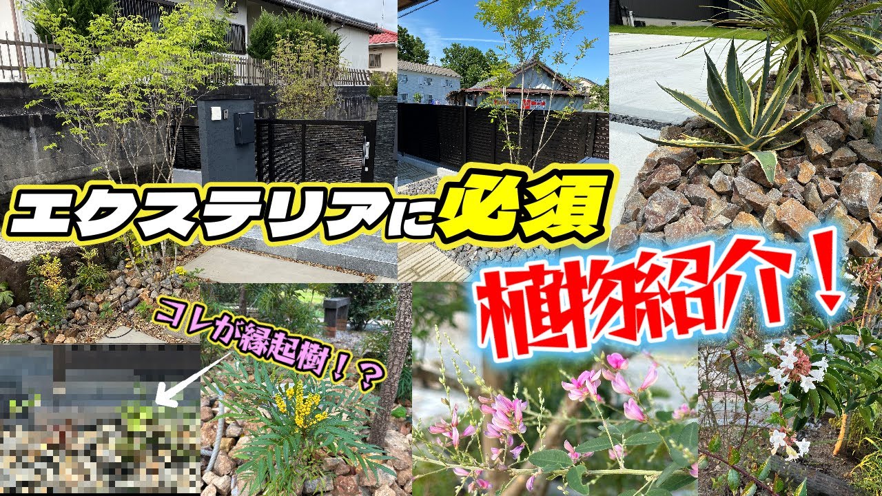 エクステリアに必須アイテムである色々な植物をご紹介！お家に良い縁起樹も紹介しちゃいます！