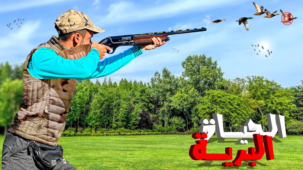 الحياة البرية: صيد طائر الكنار في الوادي حصيلة رائعة