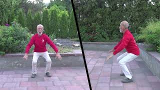 108 Moves Moy Taichi Set - Move Cross Hands