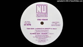 The Vision - Laidback & Groovy