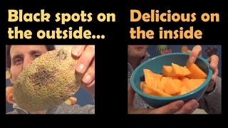 Don't discard that cantaloupe! It may be perfect!