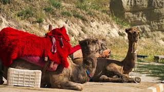 Turkey - Cappadocia - Goreme Open Air Museum - Screensaver Slideshow - 4K