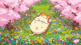 Mochi cat's Sakura Garden 🌸 Cozy Lofi Music Spring Vibes ✨ Soft Lofi to Relax & Focus screenshot 5