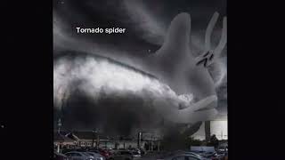 Tornado Spider Sounds