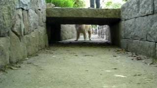 MVI_6793.AVI