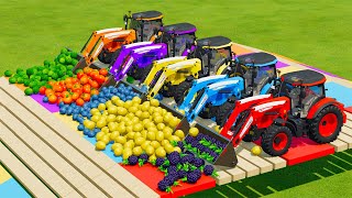 LOAD & TRANSPORT FRUITS WITH LAMBORGHINI AND McCORMICK TRACTORS - Farming Simulator 22 screenshot 2