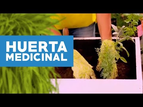 Video: Cultivo de hierbas con niños: creación de un jardín de hierbas para niños