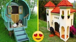 Most Creative &amp; Beautiful Dog Houses