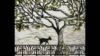 “OF ROOTS AND BRANCHES” (CAT walking on tv)