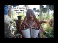 PRIDE OF SUMATERA | DUA DAUN HARGANYA?