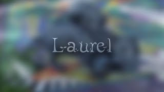 Laurel Bed and Breakfast