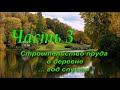 Пруд в деревне своими руками часть 3...пруд год спустя