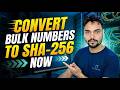 Quick One-Click Solution for Bulk Number to SHA-256 Conversion