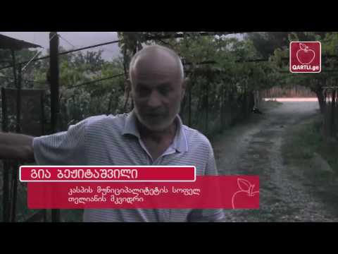 პოლიციელების ზეწოლა სოფელ თელიანში