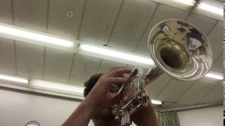 IMG 0633