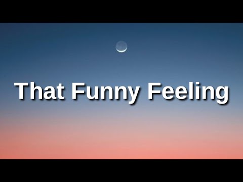 Bo Burnham That Funny Feeling Lyrics 