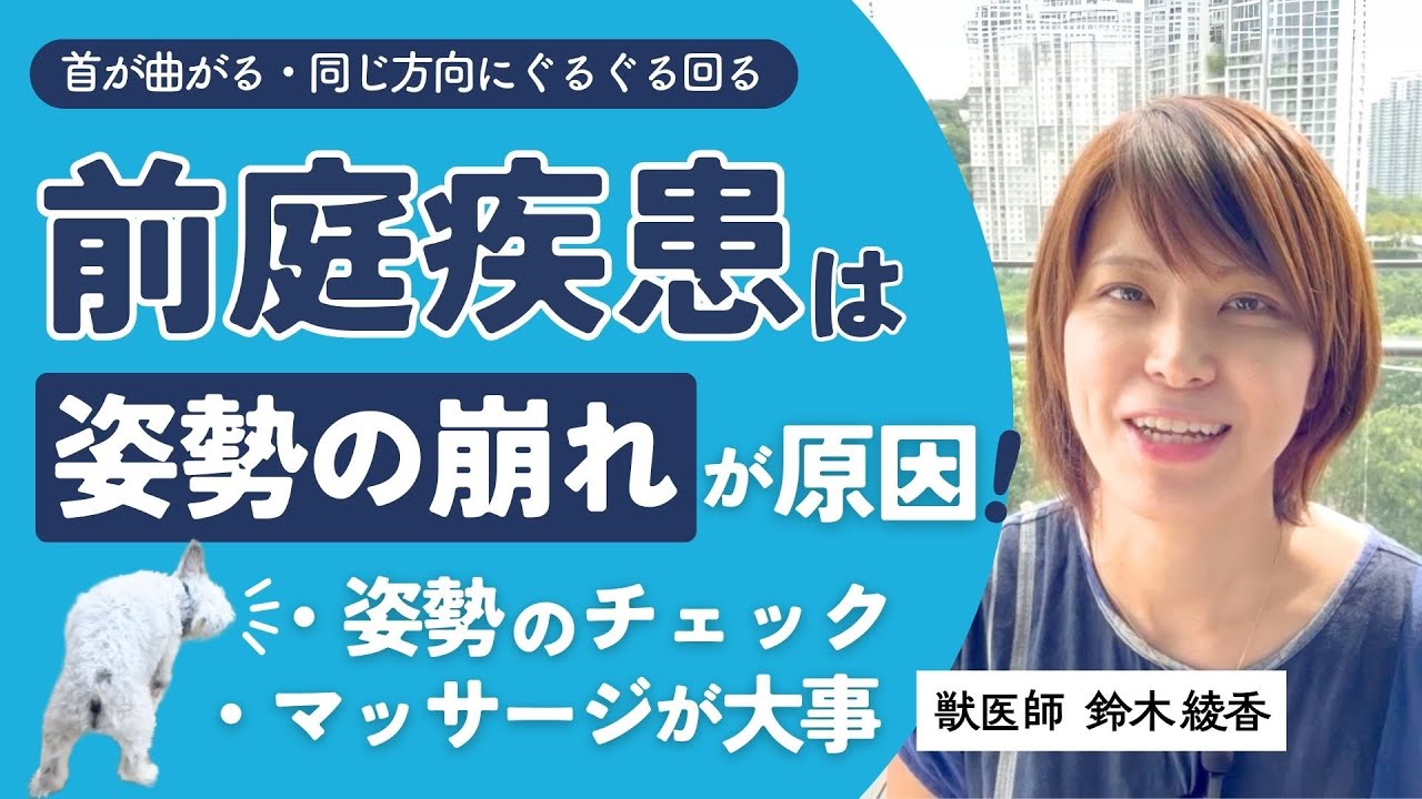 犬の前庭疾患は姿勢の崩れが原因！おうちでできるマッサージも紹介｜獣医師が解説