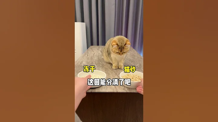 【麻蛋和醜醜】破案了！不是鼻子眼睛的問題！就是純傻！ - 天天要聞