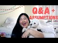 I QUIT MY JOB + SPECIAL SOMEONE + JEALOUS FRIENDSHIPS Q&A | Michelle Choi